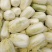 精品娃娃菜，大娃娃、小娃娃菜，毛菜、净菜都有货，冷库加工