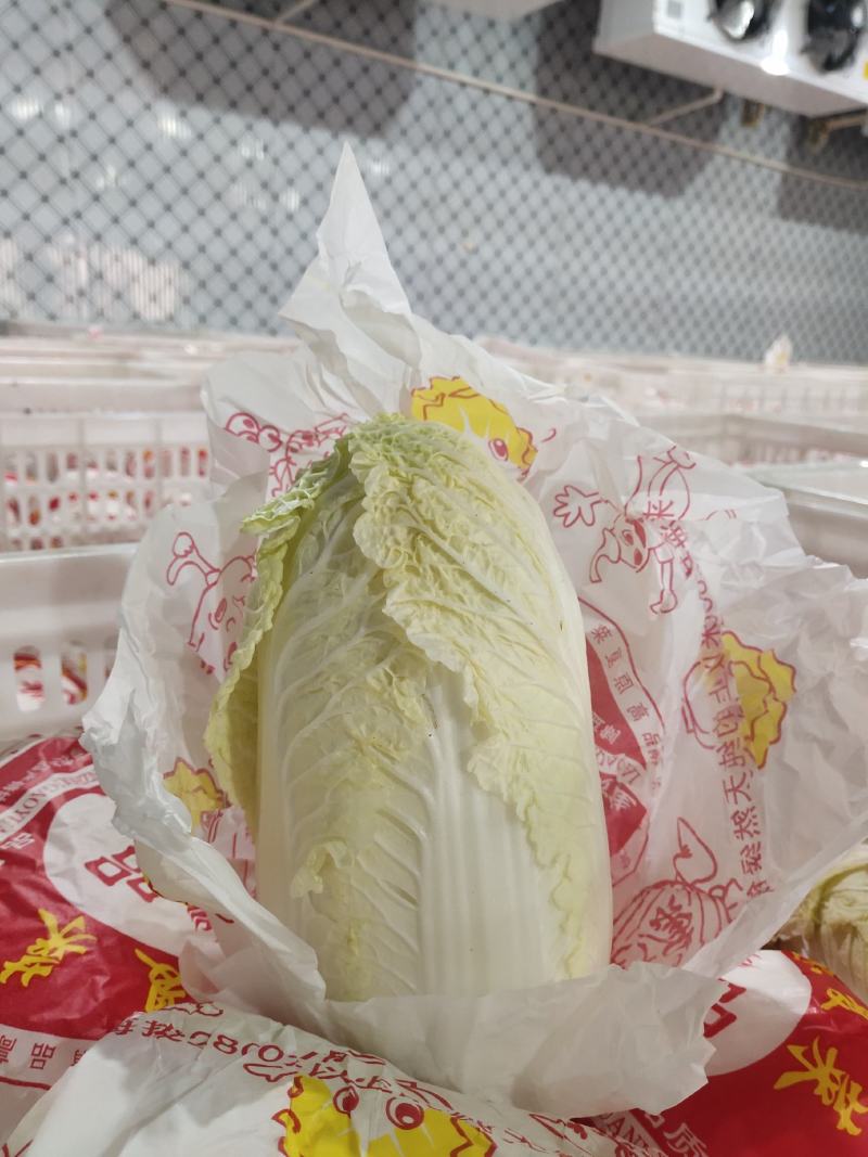 精品娃娃菜，大娃娃、小娃娃菜，毛菜、净菜都有货，冷库加工