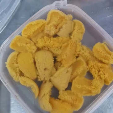 大连特产！海胆刺身，木盒海胆，马粪胆，紫胆