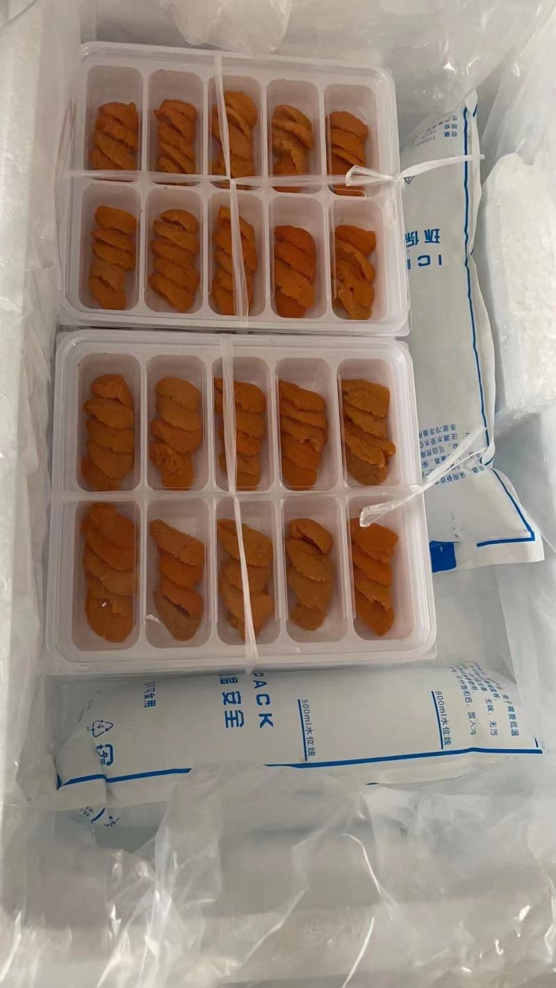 大连特产！海胆刺身，木盒海胆，马粪胆，紫胆