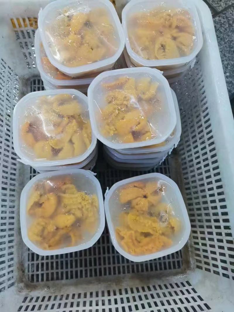 大连特产！海胆刺身，木盒海胆，马粪胆，紫胆