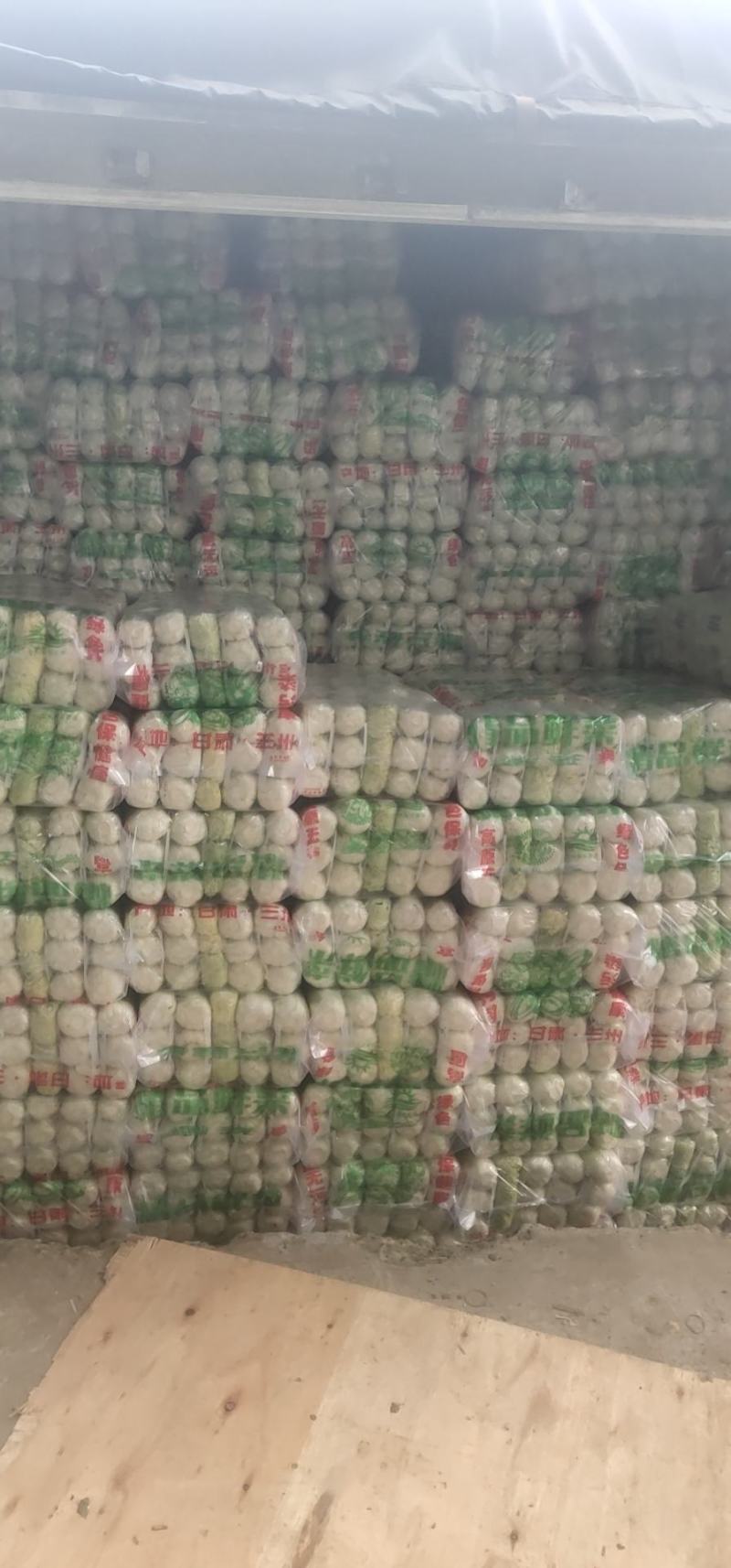 精品娃娃菜，小娃娃菜，毛菜、三颗装精包，提供大型冷库加工