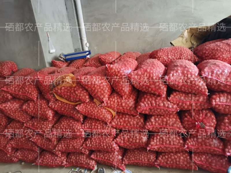 湖北恩施小土豆/马尔科黄心小土豆/产地直发/量大价优