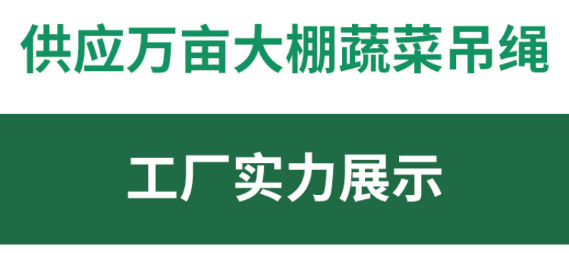 吊秧绳大棚黄瓜西红柿蔬菜吊蔓绳爬藤网拉绳拉枝绳塑料耐磨