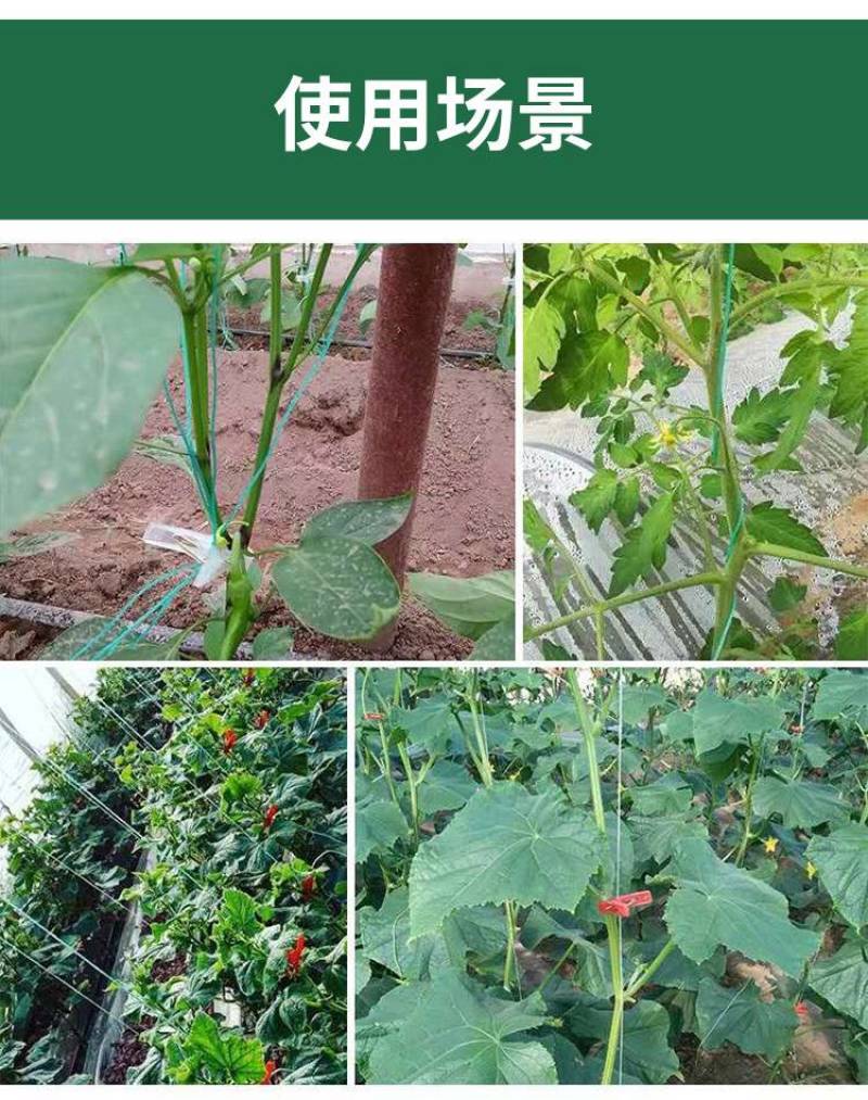 吊秧绳大棚黄瓜西红柿蔬菜吊蔓绳爬藤网拉绳拉枝绳塑料耐磨