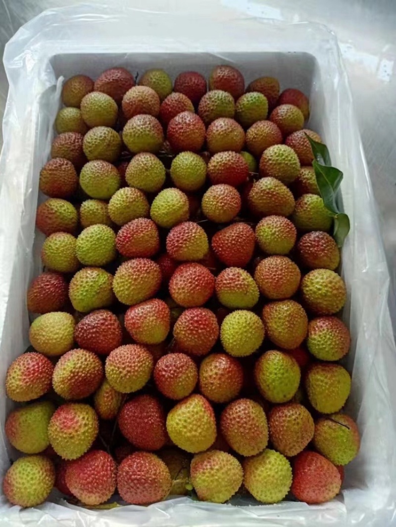 海南妃子笑荔枝，新鲜水分充足，大众水果