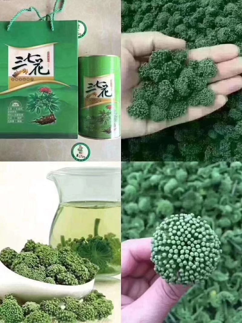 云南文山三七自产自销