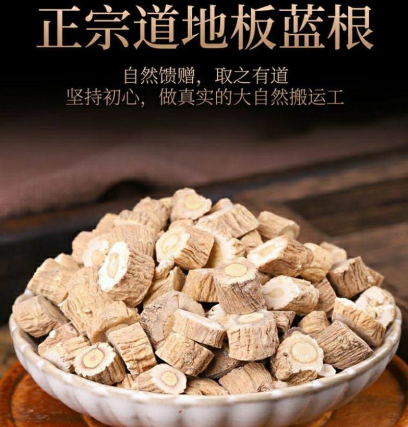 板蓝根道地中药材板蓝根切片自然晾干泡水泡茶健康养生