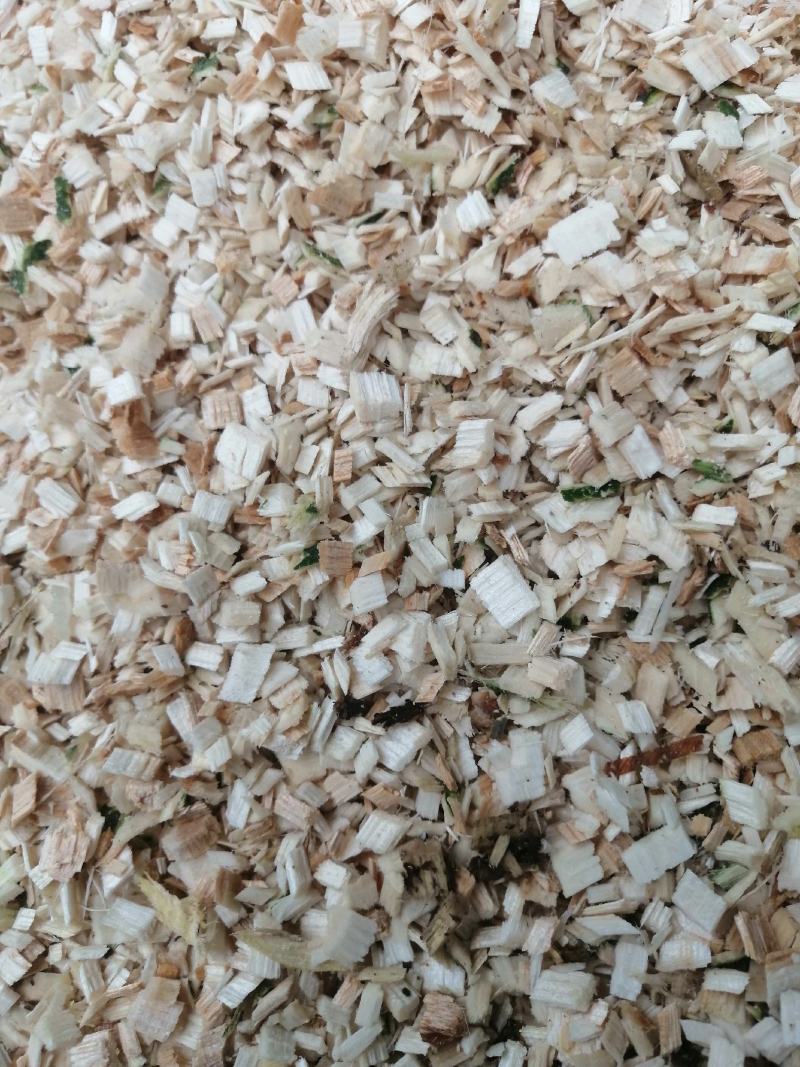 大量供应木渣木屑