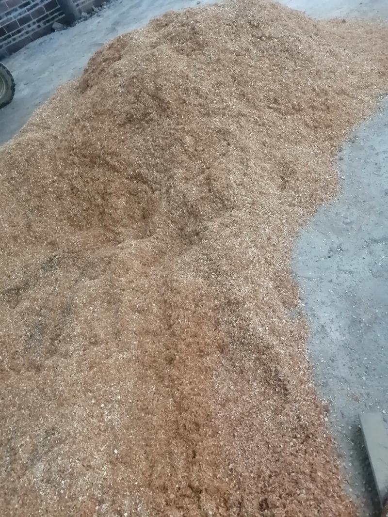 大量供应木渣木屑