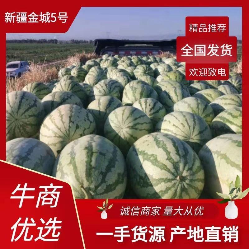 【精选】新疆金城5号西瓜，瓜瓤细脆，个大耐运输，全国发货