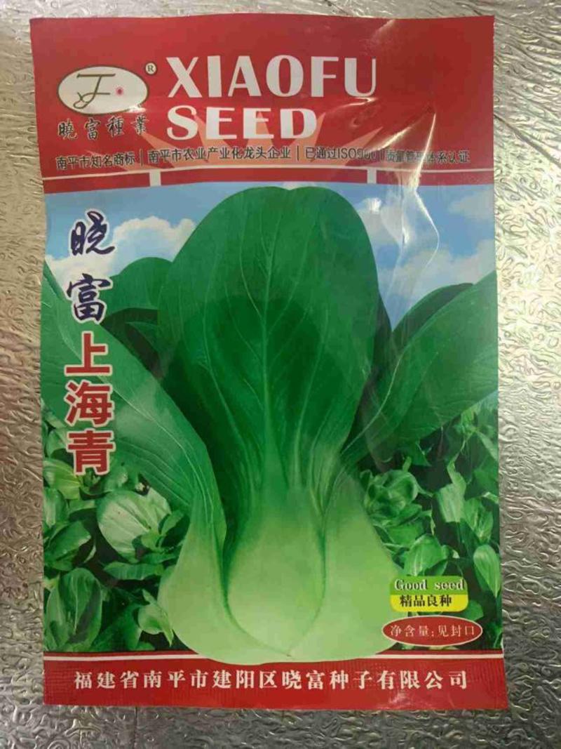 晓富上海青小白菜种子，40克，耐寒耐热耐湿