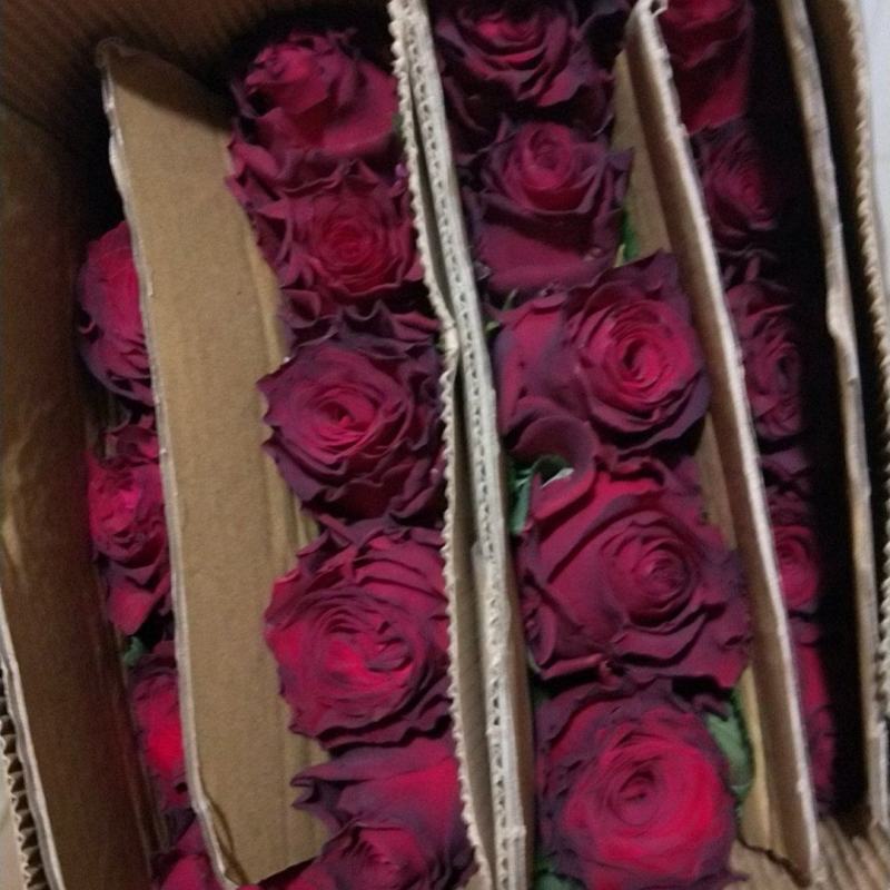 玫瑰花