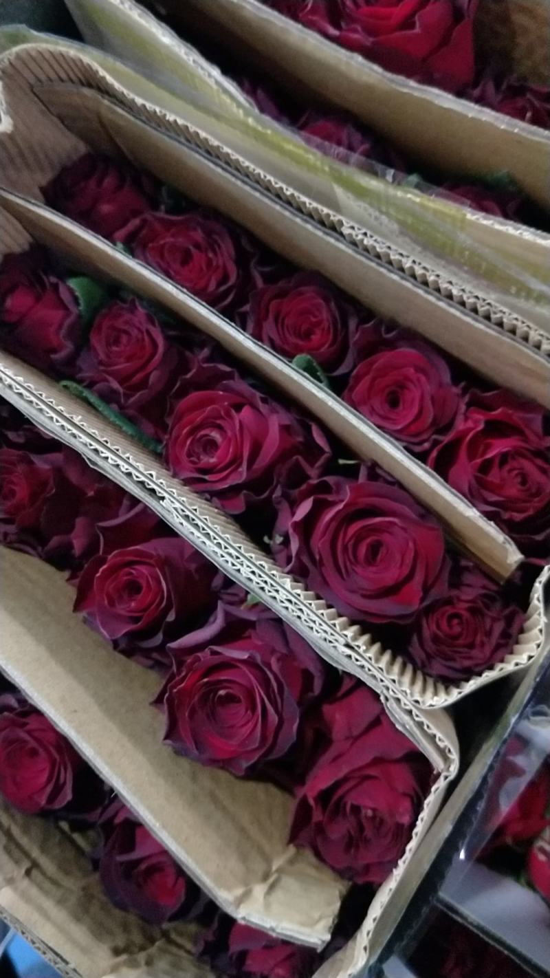 玫瑰花