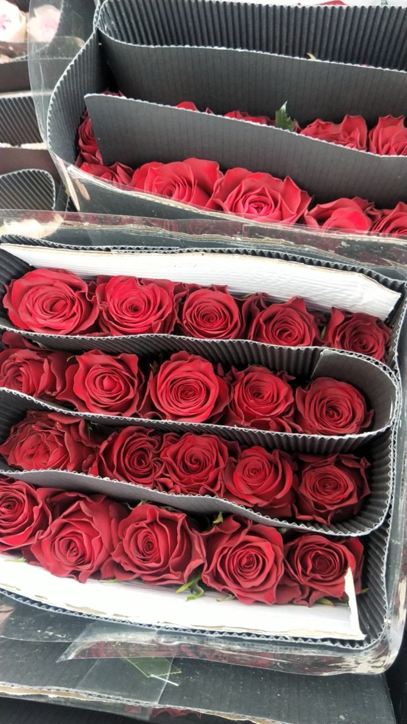 玫瑰花