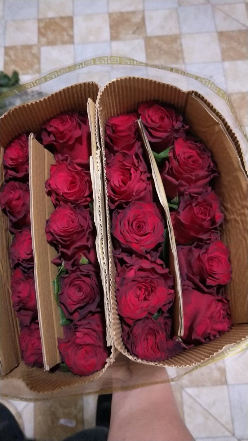 玫瑰花