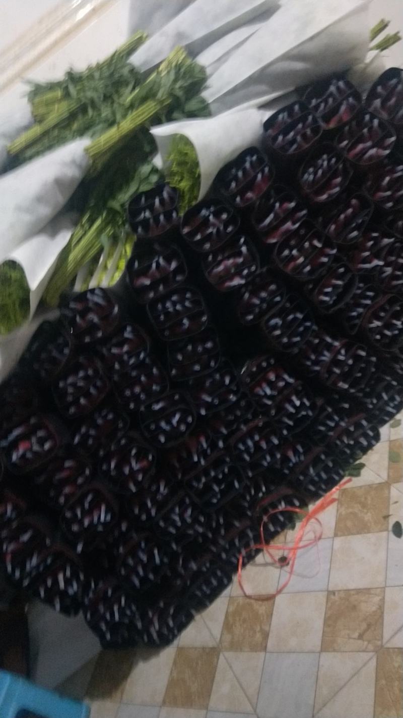 玫瑰花