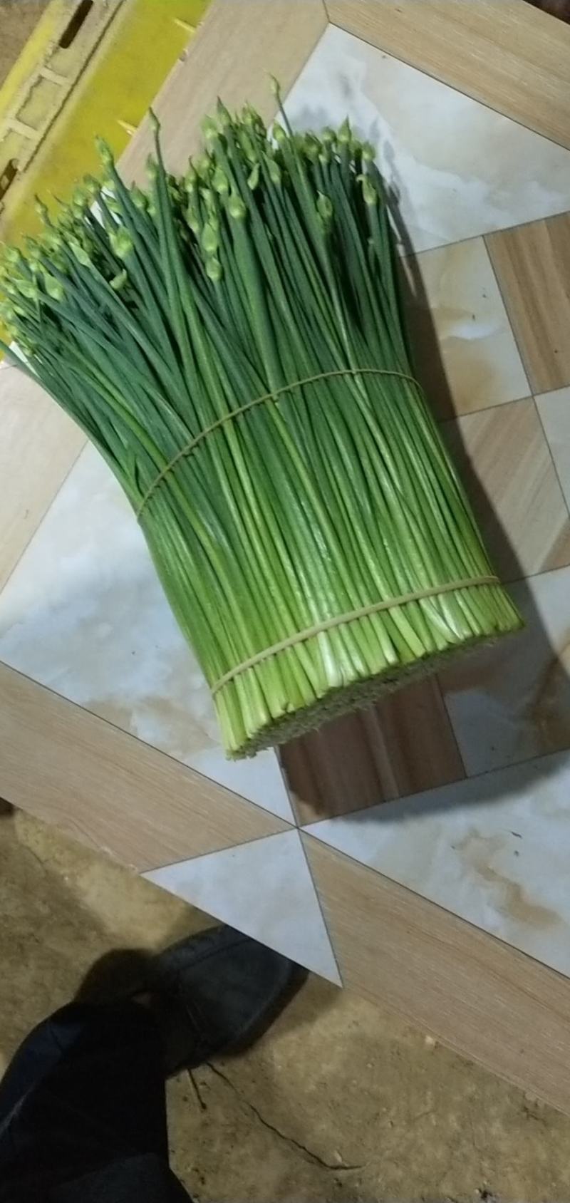 产地自销保证质量韭菜花