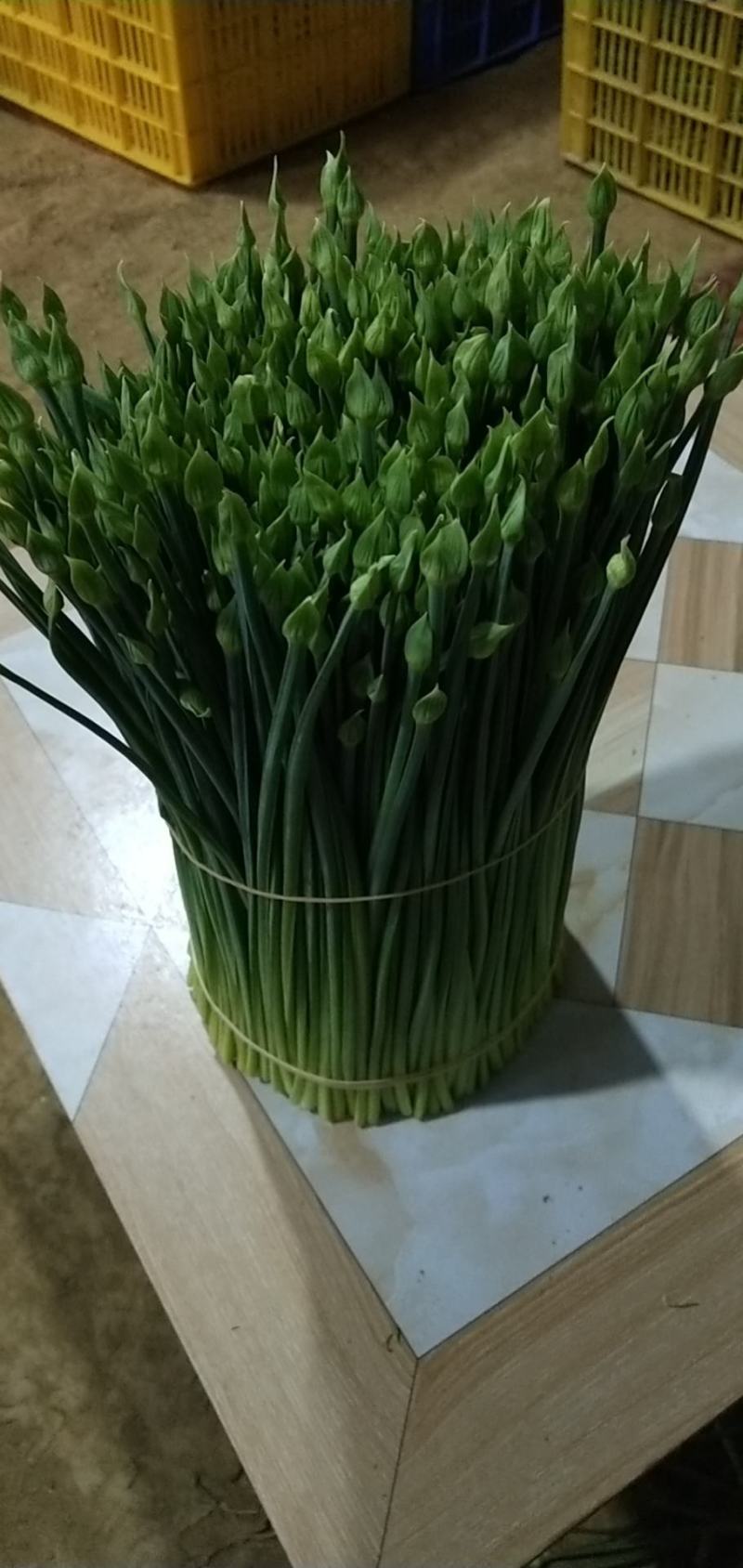 产地自销保证质量韭菜花