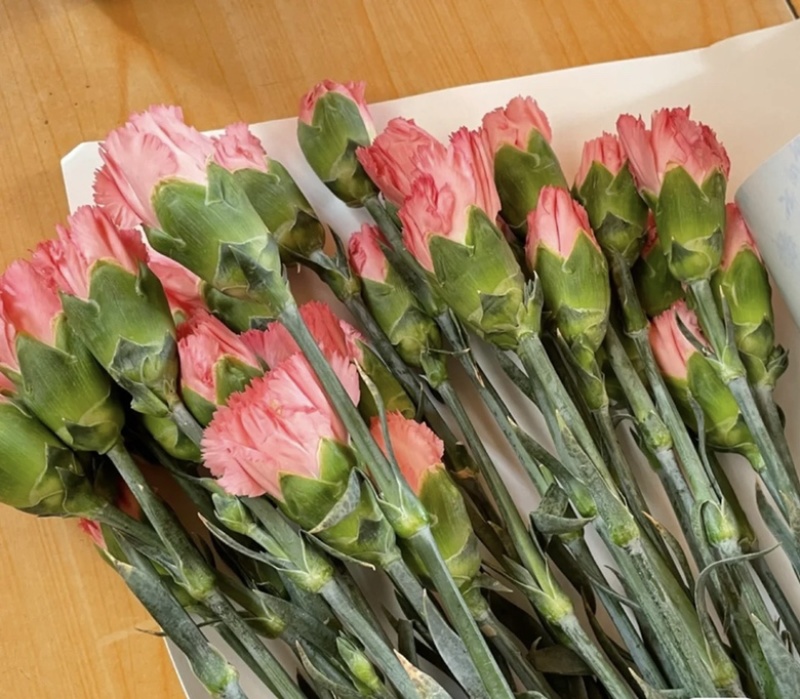 精品康乃馨，昆明鲜花基地直销批发，货源充足！
