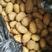 山东黄心土豆，价格实惠3两以上，全国发货质量保证