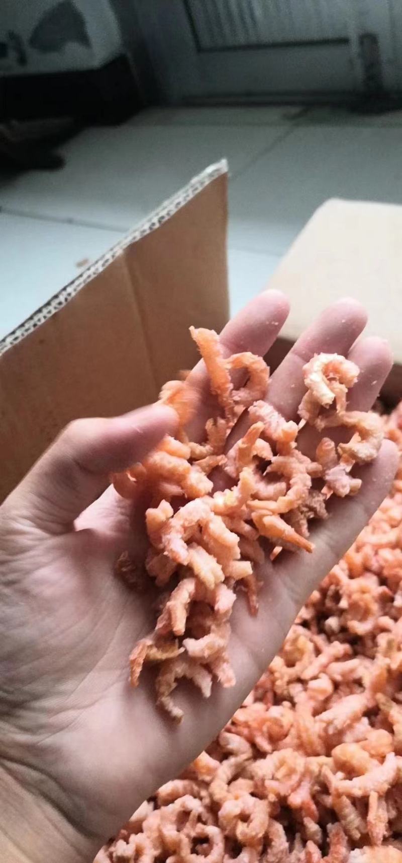 淡干海米，盐干海米，优质金钩海米，厂家直发，手续齐全