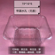 芽苗菜活体透明种植盒包装盒种植方便19×16×8