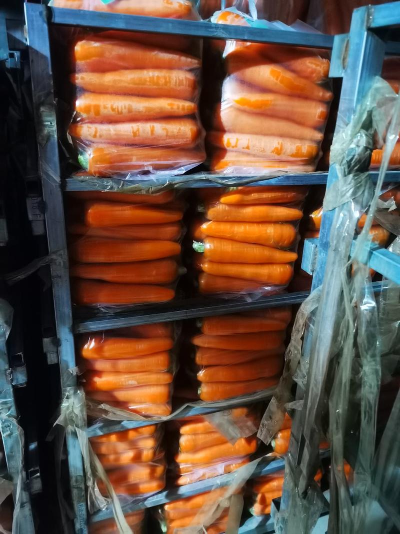 柏乡县誉德顺商贸有限公司常年批发，三红胡萝卜