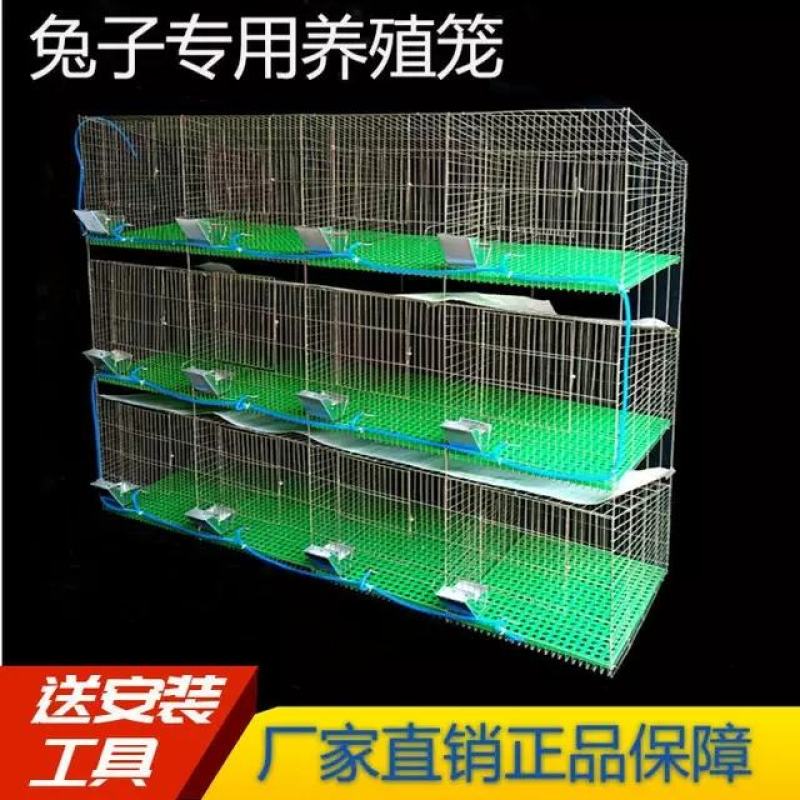 专业养殖兔笼加粗9位母兔笼新型免清粪热镀锌兔子笼子商品笼