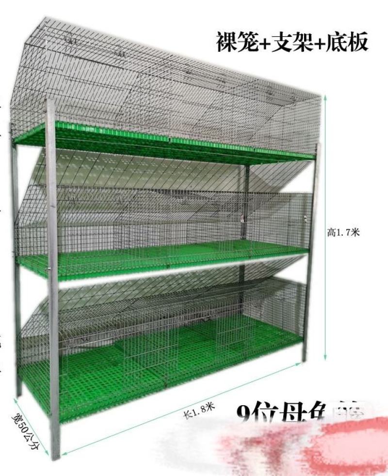 专业养殖兔笼加粗9位母兔笼新型免清粪热镀锌兔子笼子商品笼