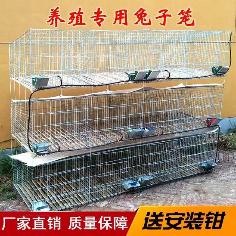专业养殖兔笼加粗9位母兔笼新型免清粪热镀锌兔子笼子商品笼