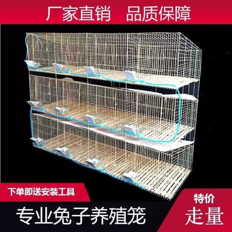 专业养殖兔笼加粗9位母兔笼新型免清粪热镀锌兔子笼子商品笼
