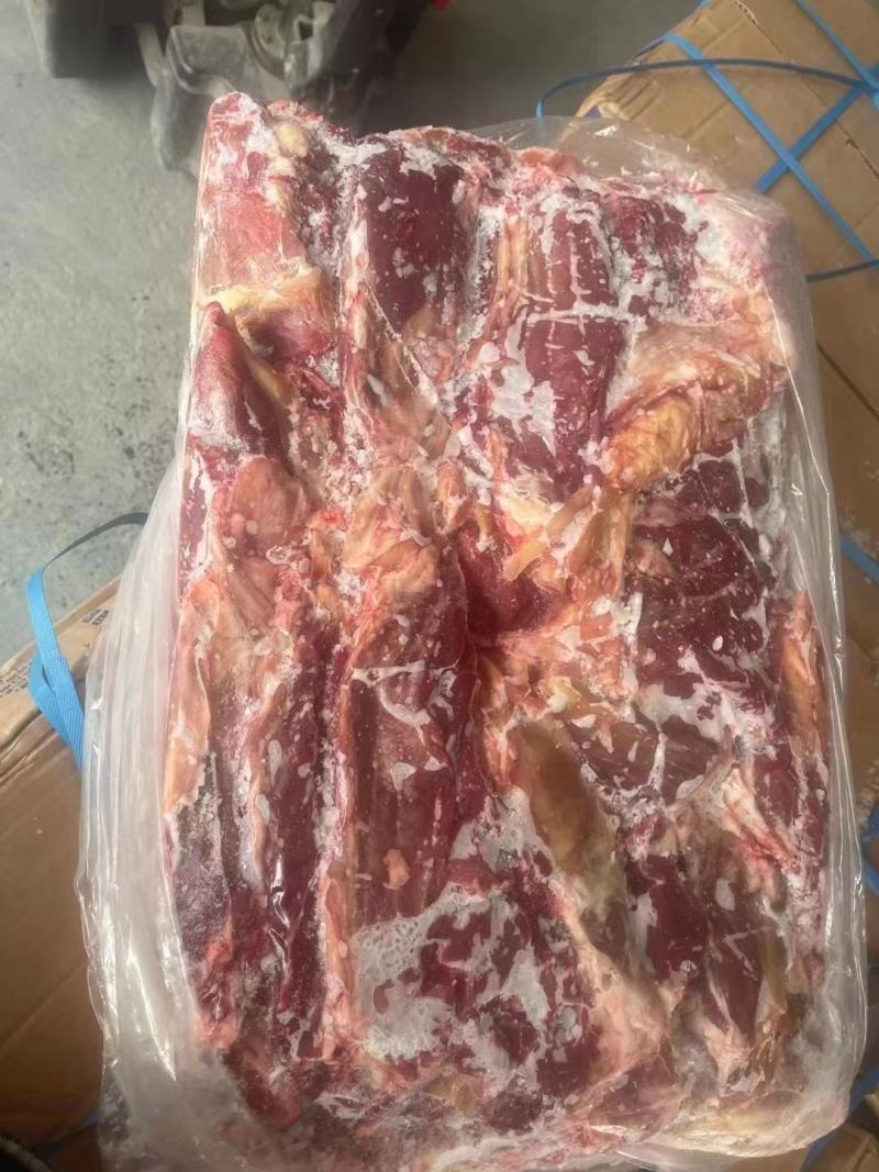 国产牛肉牛前牛后