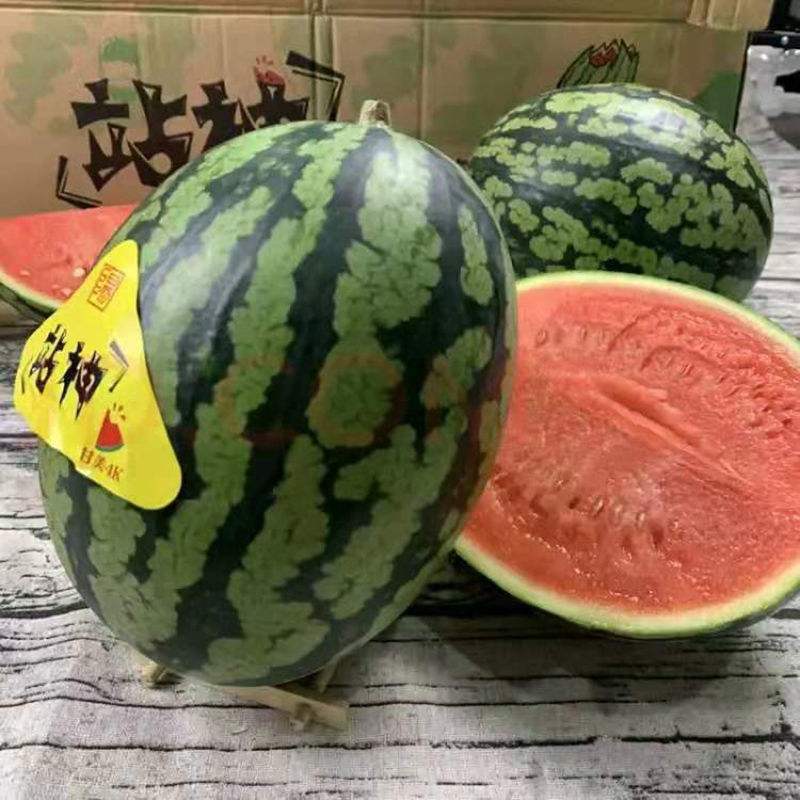 大荔县万亩甘美4K基地直发正在热卖中一手货源