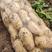 河南精品土豆基地直供大量上市！质量保证支持全国发货！