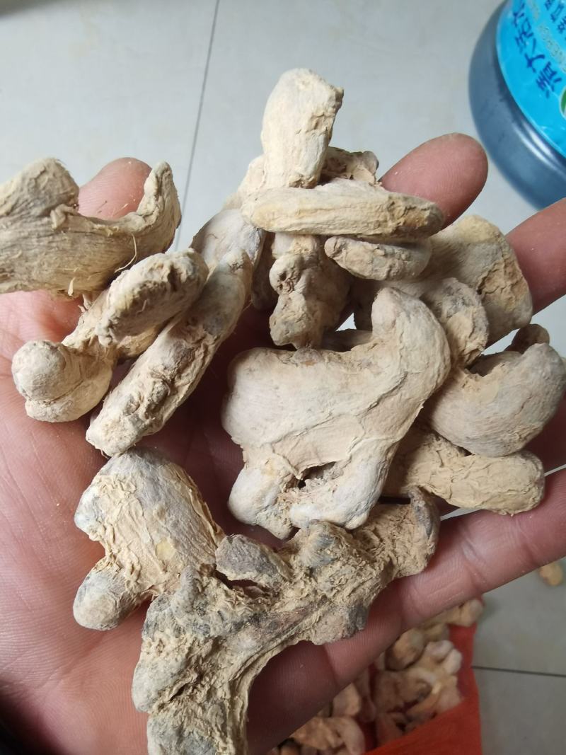 干姜块新货货，原汁原味欢迎个位老板来看货