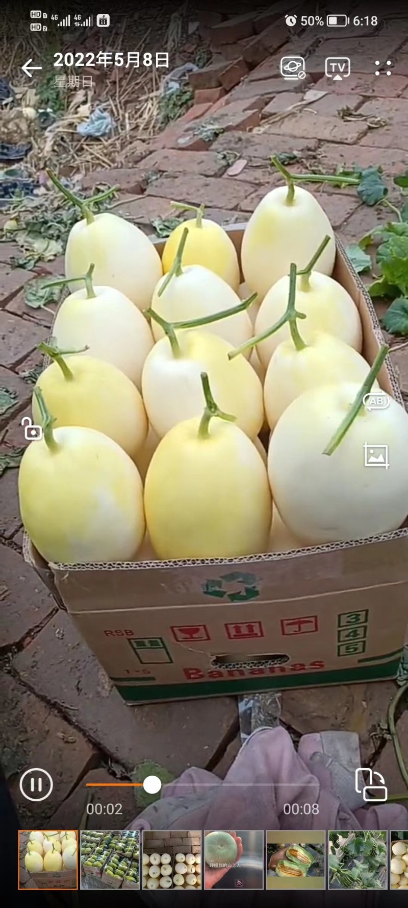 甜瓜