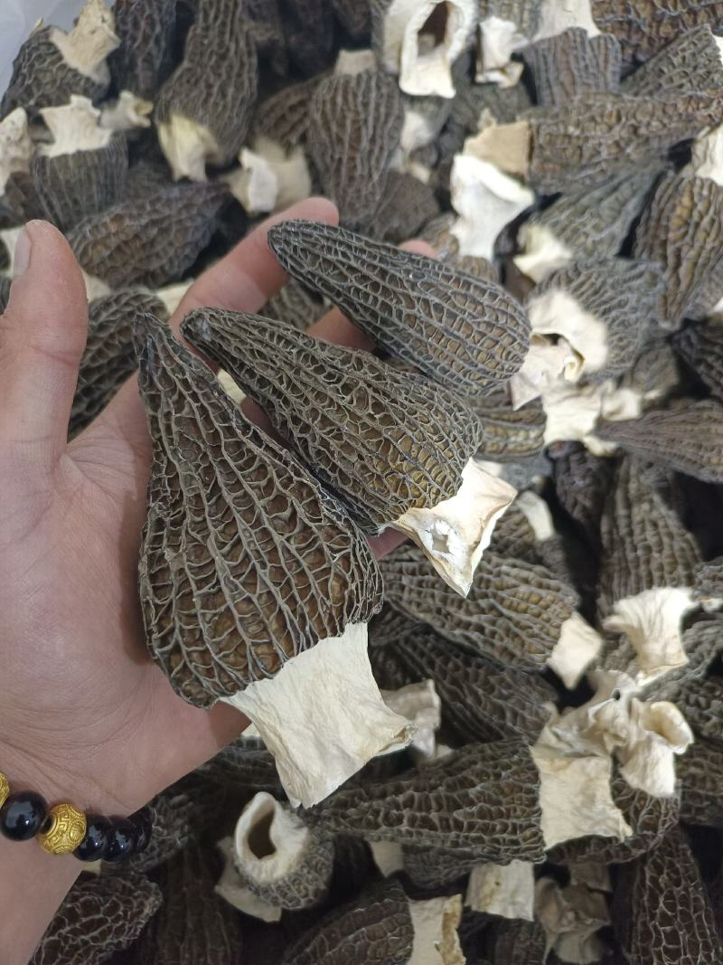 产地直供羊肚菌，各种规格齐全质量保证全国发货
