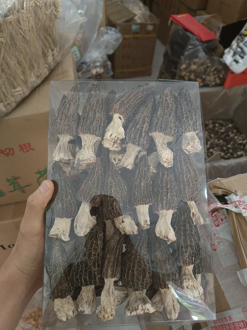 产地直供羊肚菌，各种规格齐全质量保证全国发货
