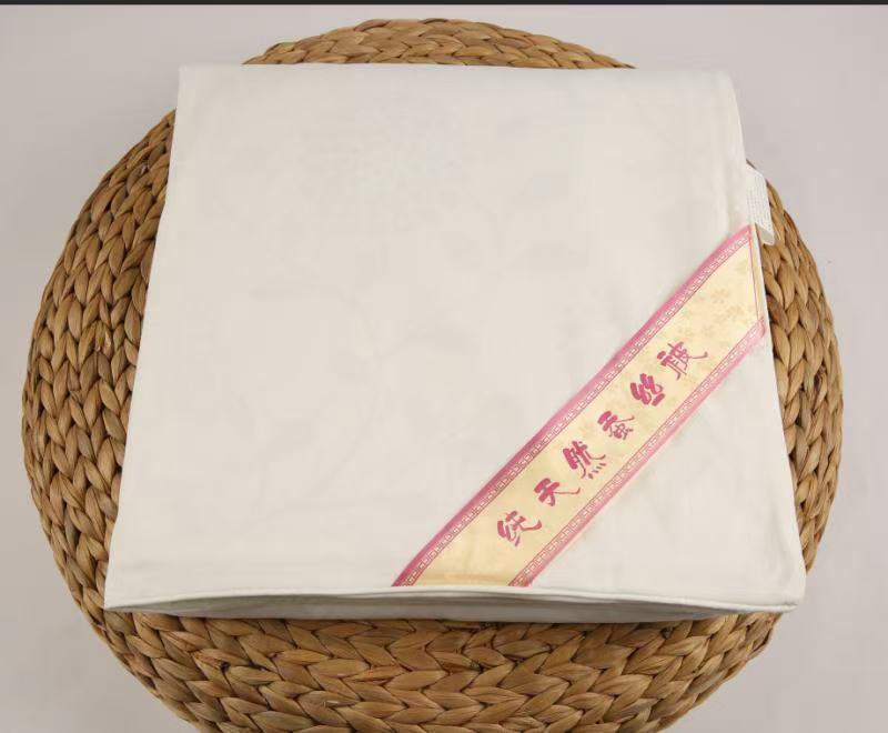加密压花蚕丝被内胆套胎套柔软舒适不钻丝棉絮被内被套褥子套