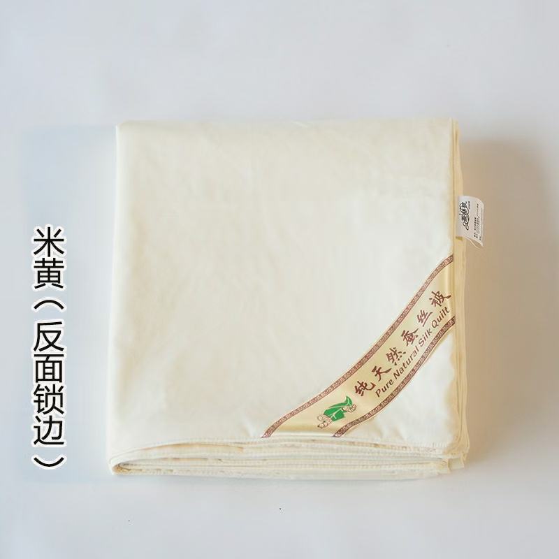 加密压花蚕丝被内胆套胎套柔软舒适不钻丝棉絮被内被套褥子套