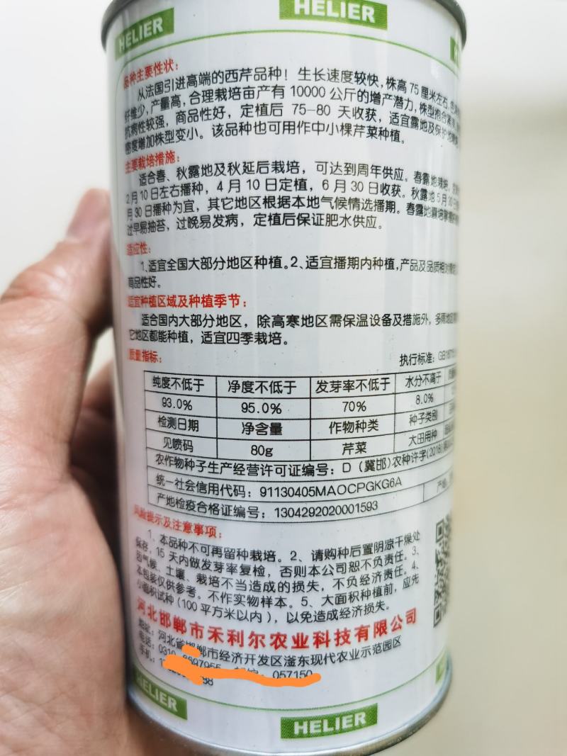 超级皇后西芹种子西芹种籽芹菜四季芹菜籽早熟抗病西芹菜