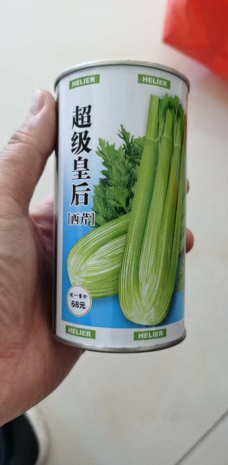 超级皇后西芹种子西芹种籽芹菜四季芹菜籽早熟抗病西芹菜
