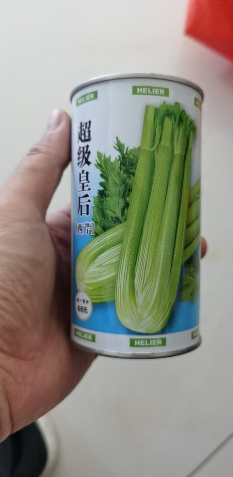 超级皇后西芹种子西芹种籽芹菜四季芹菜籽早熟抗病西芹菜