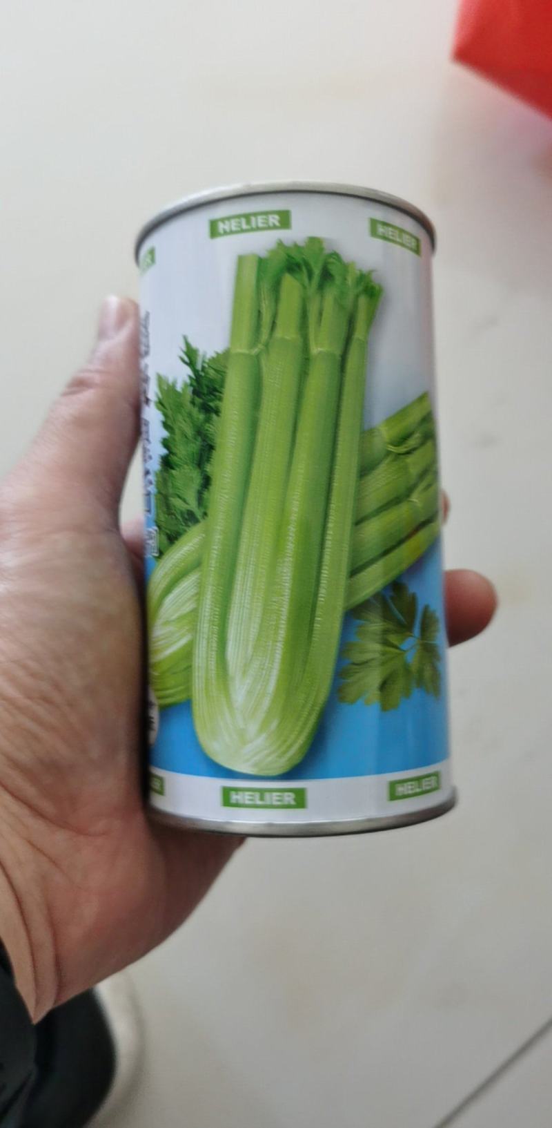 超级皇后西芹种子西芹种籽芹菜四季芹菜籽早熟抗病西芹菜