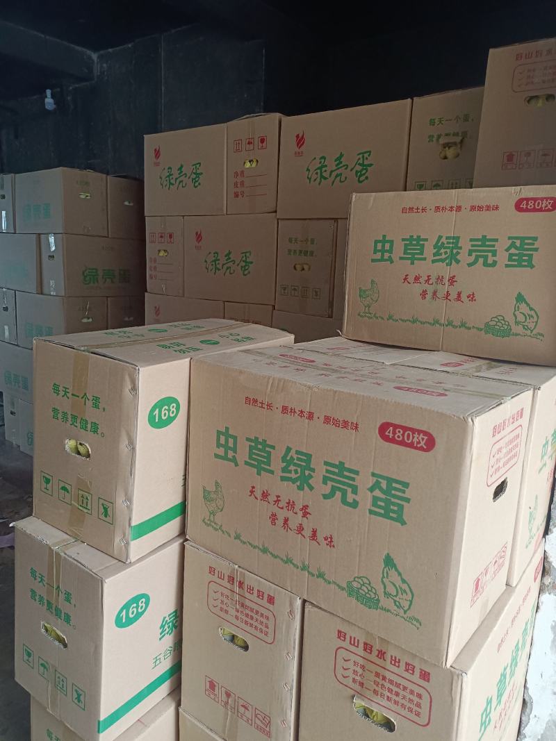 480枚精品绿壳鸡蛋，一手货源，质优价廉，全国发货。