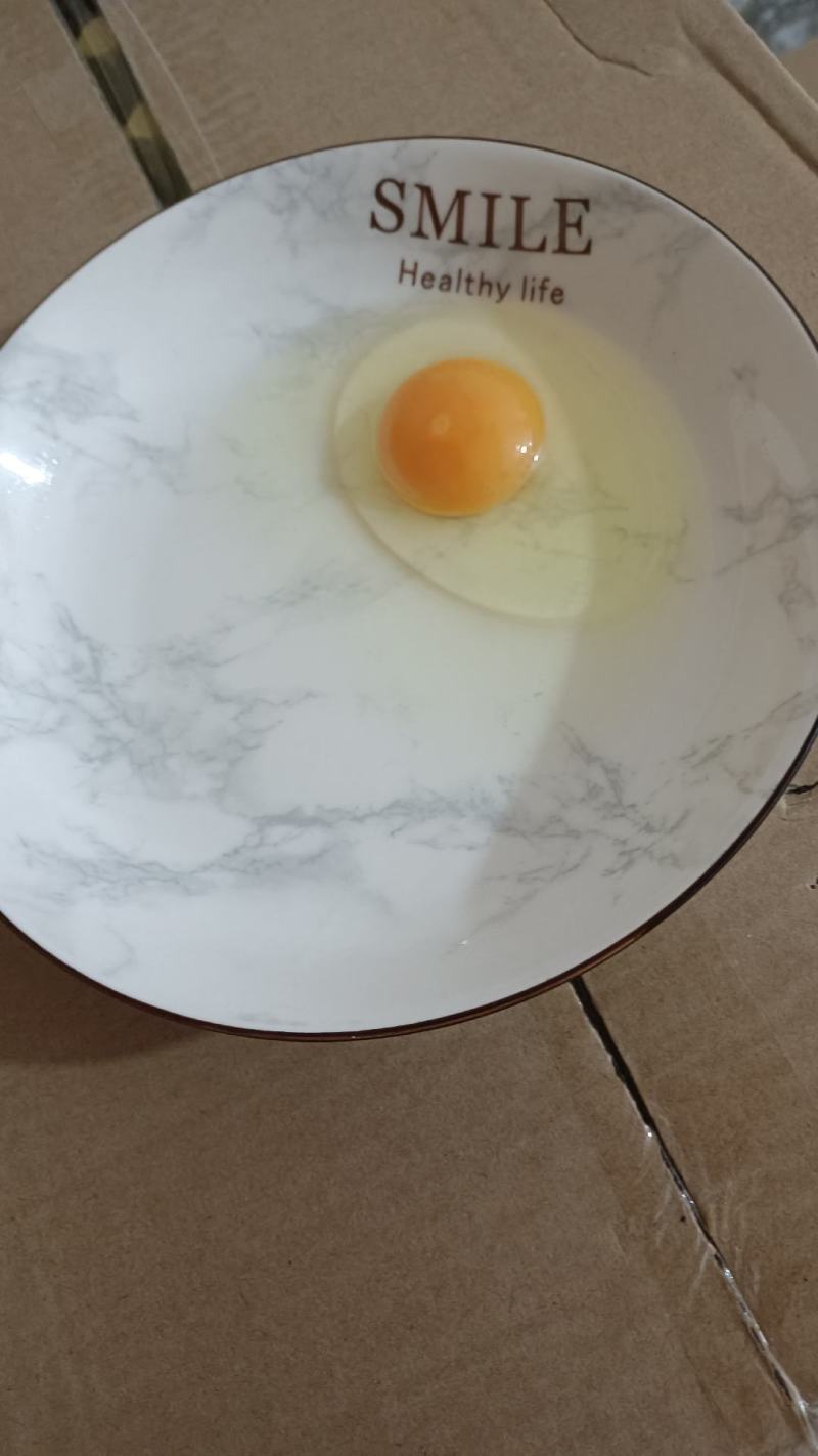 480枚精品绿壳鸡蛋，一手货源，质优价廉，全国发货。