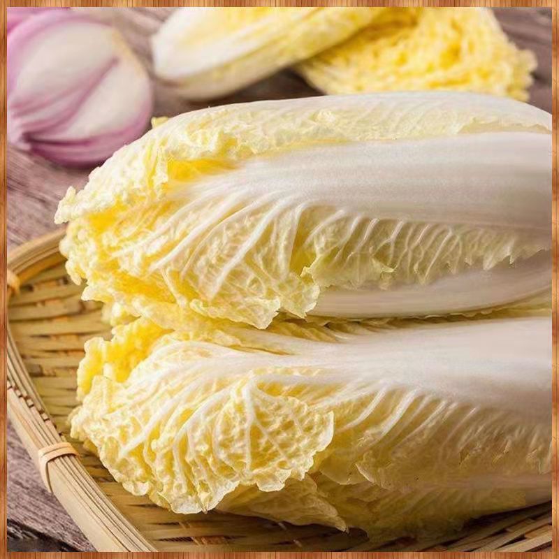 甘肃娃娃菜，货源充足稳定，实力商家，诚信经营，欢迎选购