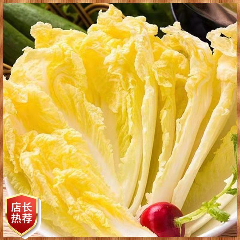 甘肃娃娃菜，货源充足稳定，实力商家，诚信经营，欢迎选购