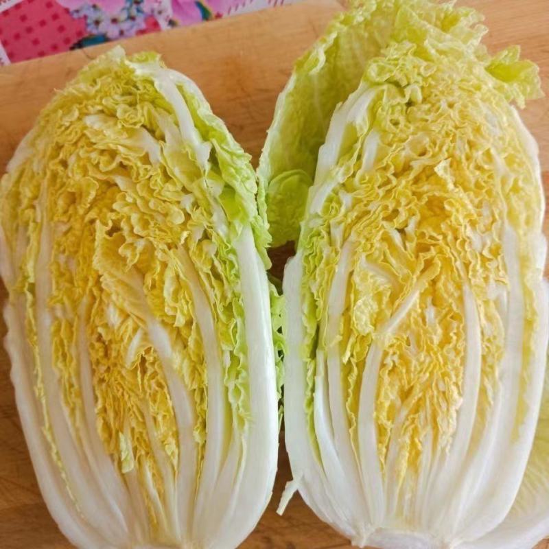 甘肃娃娃菜，货源充足稳定，实力商家，诚信经营，欢迎选购